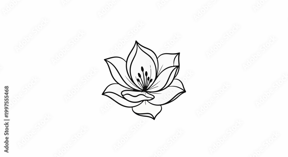 Fototapeta premium Delicate black line art of an open flower with multiple petals and visible stamen