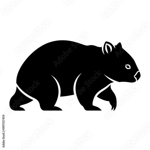 Silhouette of a wombat in black, a marsupial native to Australia, walking.