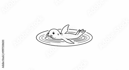 Cute seal pup swims playfully in rippling water, black outline on white