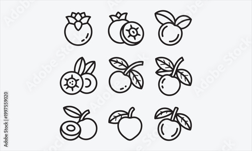 Medlar Line art vector icon set  vector illustration
