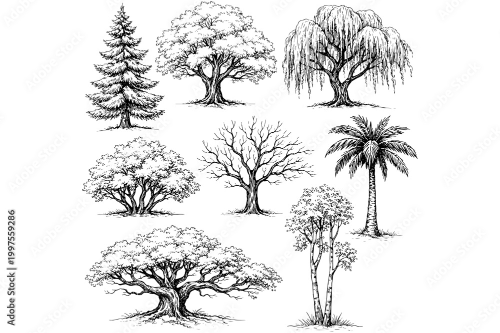 Fototapeta premium Hand Drawn Trees Collection – Minimal Landscape Design Elements