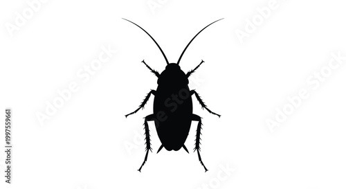 A stark black silhouette of a cockroach detailed antennae and legs silhouette