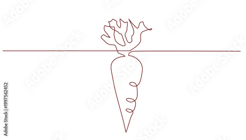 Continuous line drawing of a carrot vegetable on white background minimalist art