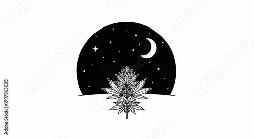 Botanical illustration of a cannabis plant under a crescent moon and stars
