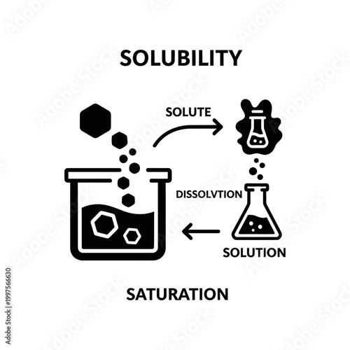 Solubility infographic vector illustration. Science diagram of solute and solvent interaction in a solution.