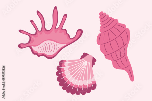 A set of stylized vector illustrations of seashells in a pink color scheme. Includes a fan-shaped scallop shell, a pointed spiral shell, and a decorative shell with protuberances. 