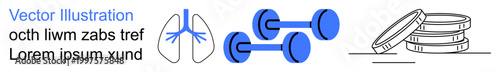 Fitness, health, medical research, physical therapy, sports, financial growth. Blue lungs, dumbbells and stacked coins. Fitness and health conceptually in visual elements