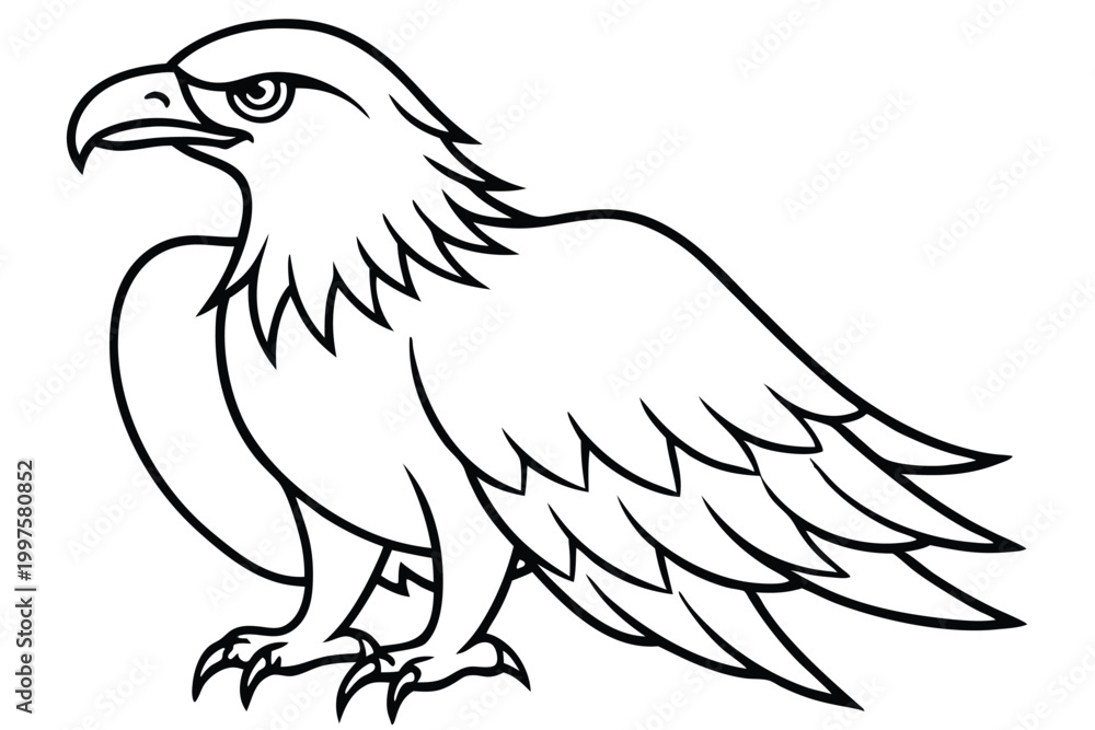 Fototapeta premium eagle bird silhouette line art vector illustration with a white background
