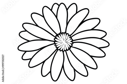 daisy flower silhouette line art vector illustration with a white background