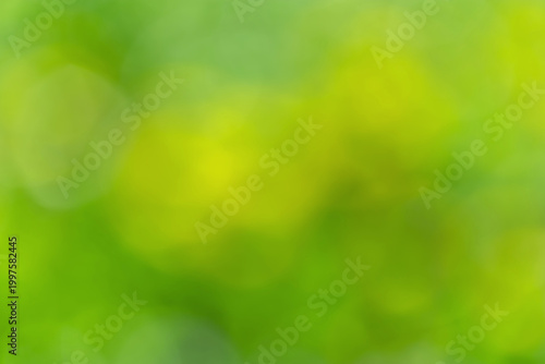 Soft green bokeh background with blurred foliage and sunlight for nature and ...