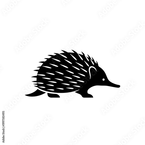 Silhouette of an echidna, a unique spiky mammal, in a minimalist style.