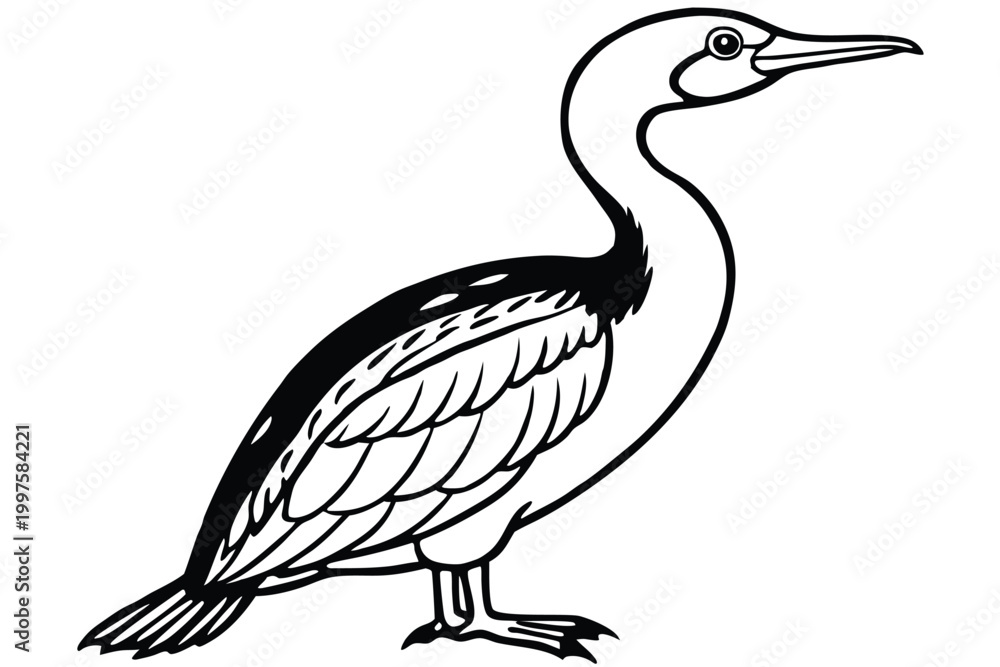 Fototapeta premium cormorant bird silhouette line art vector illustration with a white background