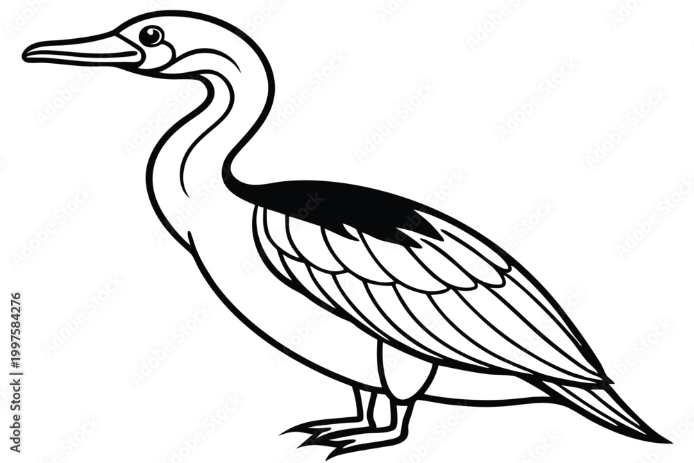 Fototapeta premium cormorant bird silhouette line art vector illustration with a white background
