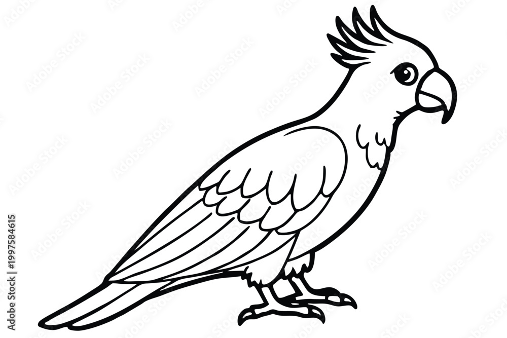 Fototapeta premium cockatoo bird silhouette line art vector illustration with a white background