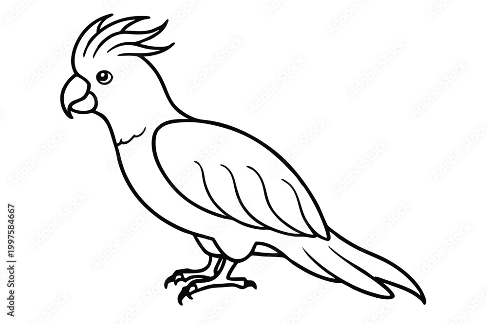Fototapeta premium cockatoo bird silhouette line art vector illustration with a white background