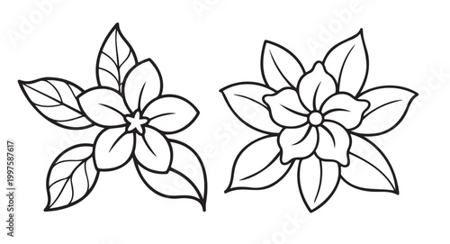 Hand drawn star flower and jasmine line art set with clean black outlines and symmetrical leaf arrangements isolated on a white background for botanical coloring pages and craft projects