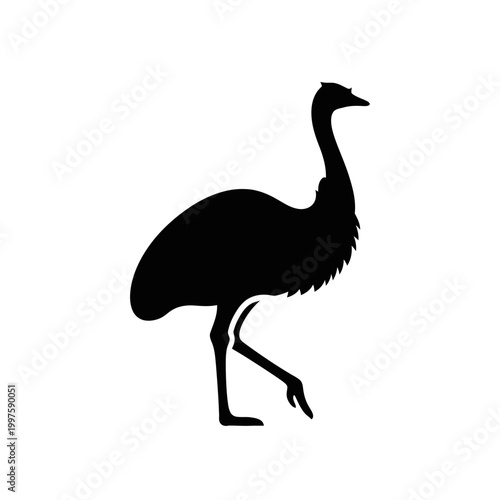 Silhouette of an Emu - A striking black outline of a large flightless bird.