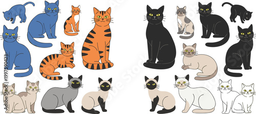Large set of flat cat vector illustrations featuring various breeds, poses, and colors including ginger tabby, black, siamese, and shorthair domestic feline characters.
