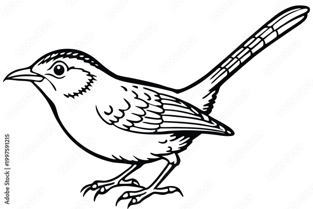 Obraz premium carolina wren bird silhouette line art vector illustration with a white background