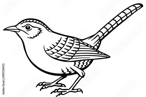 Tableau sur toile carolina wren bird silhouette line art vector illustration with a white backgrou