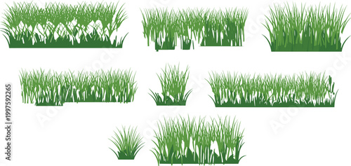 Green grass border and tuft collection with natural lawn elements, garden plants isolated on white background vector illustration set