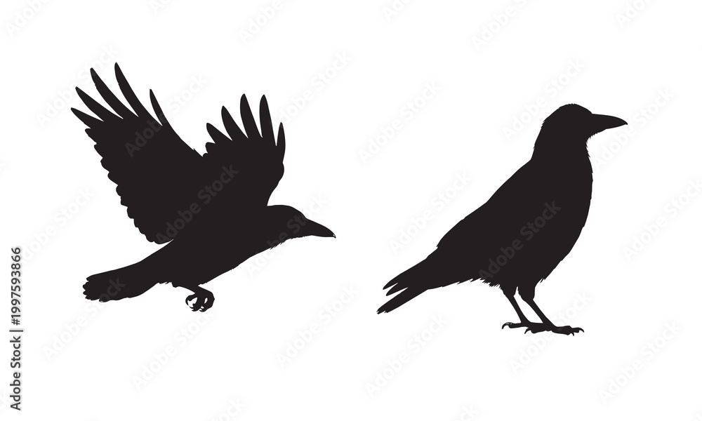 Obraz premium High-quality, scalable vector illustration of a corn bunting for nature-themed projects.