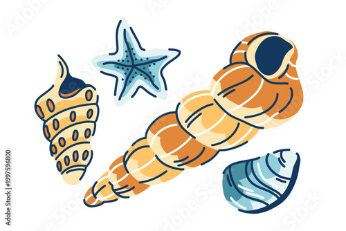 Set of cone seashells, starfish and rocks doodle, nautical beach finds, decorative clam shells