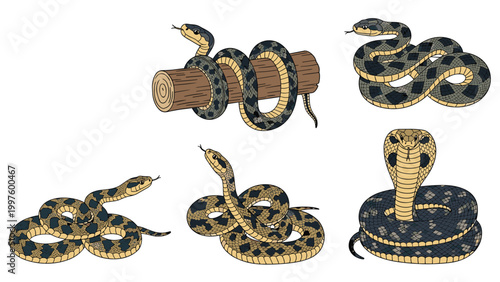 Collection of different types of snakes including a cobra and constrictor shown in various natural poses like coiled and on a log.
