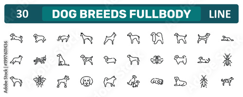 dog breeds fullbody outline icon set featuring dog scaping, afghan hound, dog lying, dalmatian icons.