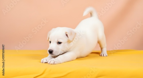 Cute white puppy stretching with paws extended forward on a yellow mat against a peach background.
