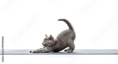 Cute white puppy doing an upward stretch pose on a yellow yoga mat with a pastel background.
