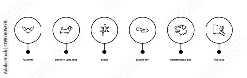 free animals outline icon set featuring plain bat, dog with long ears, border collie dog head, hog head icons.