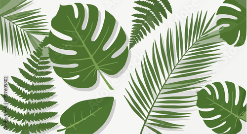 Tropical leaves flat lay vector background with lush green foliage monstera palm design isolated on white