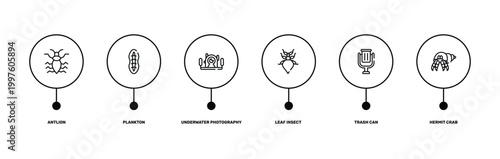 animals outline icon set featuring antlion, plankton, trash can, hermit crab icons.