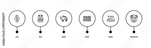 zoo outline icon set featuring hive, vest, dunes, orangutan icons.
