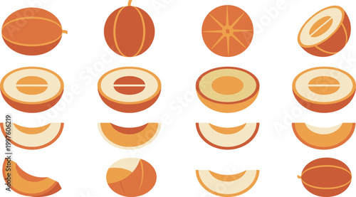 Apricot Fruit Vector Illustration Set Featuring Whole Halved and Sliced Apricots with Cross Sections for Healthy Food Design Fresh Produce and Nutrition Concepts