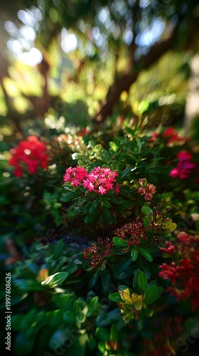 shrub. Sunlit garden with vibrant flowers and lush greenery, dappled light th...