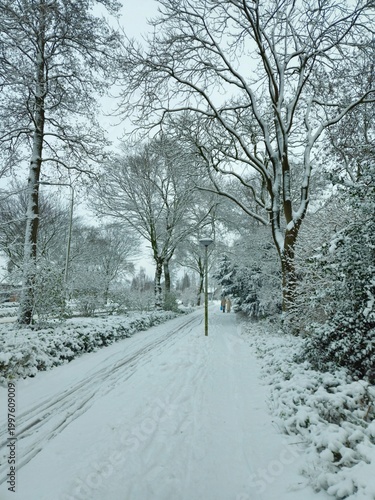 Urban winter scene. road covered with snow. Scenic image of spruces trees. Winter landscape - wooden house in snowy forest. Vertical photo. wooden bridge covered with snow.