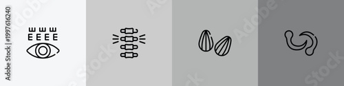 alternative medicine outline icon set featuring eye test, chiropractic, almond, leech icons.