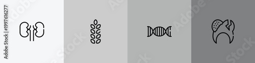 dental care outline icon set featuring kidney, gluten, genes, decayed icons.