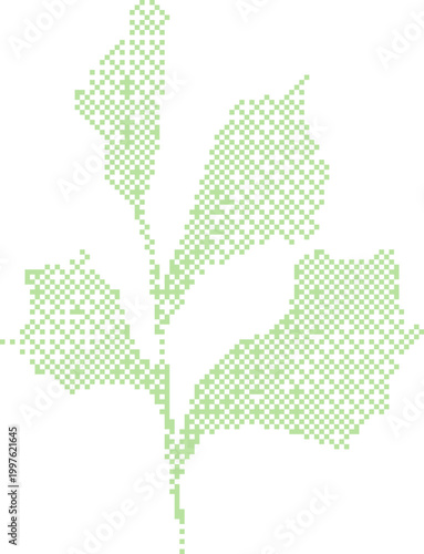 Delicate green parsley leaf pattern on white background with subtle texture
