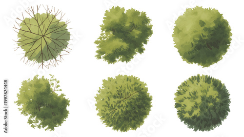 set of six different green tree tops with varying foliage density  isolated on white background