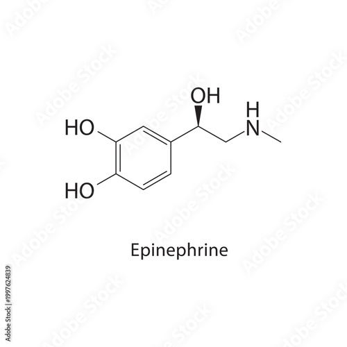 Epinephrine skeletal structure. catecholamine compound schematic illustration. Simple diagram, chemical formula.