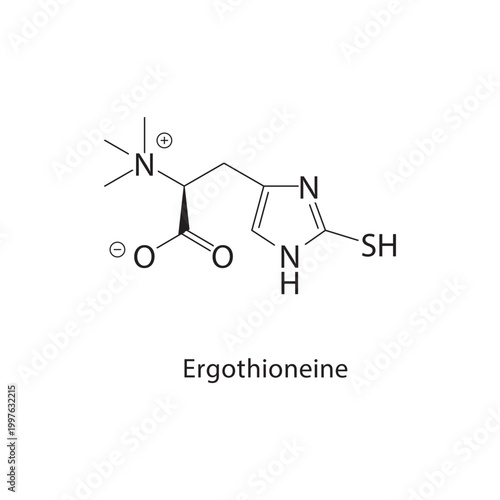 Ergothioneine skeletal structure. antioxidant compound schematic illustration. Simple diagram, chemical formula.