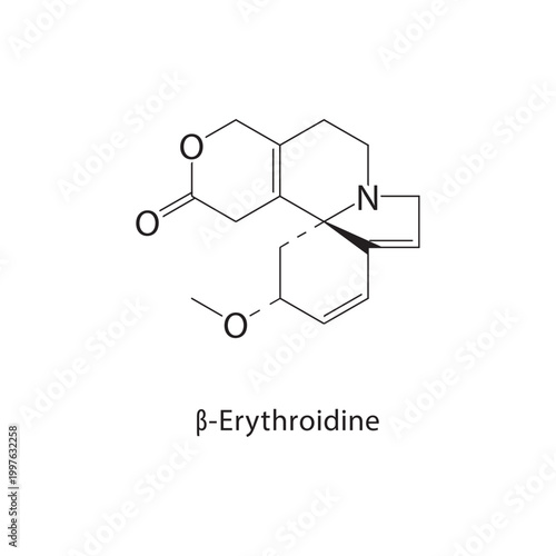 β-Erythroidine skeletal structure. alkaloid compound schematic illustration. Simple diagram, chemical formula.
