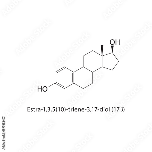 Estra-1,3,5(10)-triene-3,17-diol (17β) skeletal structure. estrogen compound schematic illustration. Simple diagram, chemical formula.