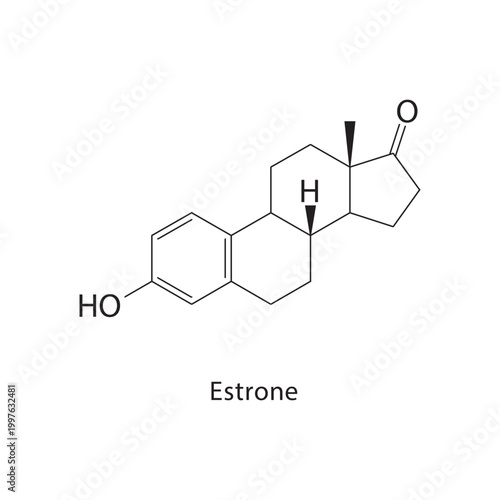Estrone skeletal structure. estrogen compound schematic illustration. Simple diagram, chemical formula.