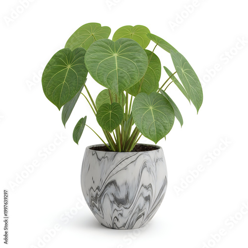 A plant with large green leaves in a marble pot
