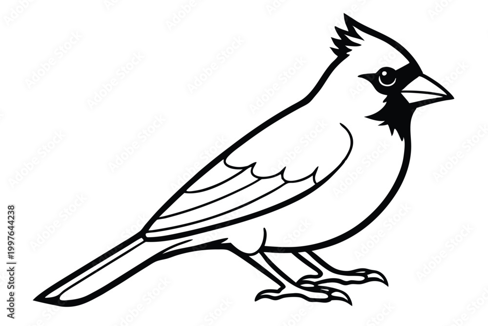 Obraz premium cardinal silhouette line art vector illustration with a white background
