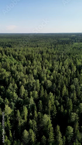 Aerial Drone View of Kaukajärvi in Kangasala forest on a Sunny Summer Day